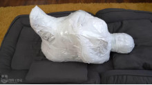 呼吸制御と口腔内虐待のMummification
